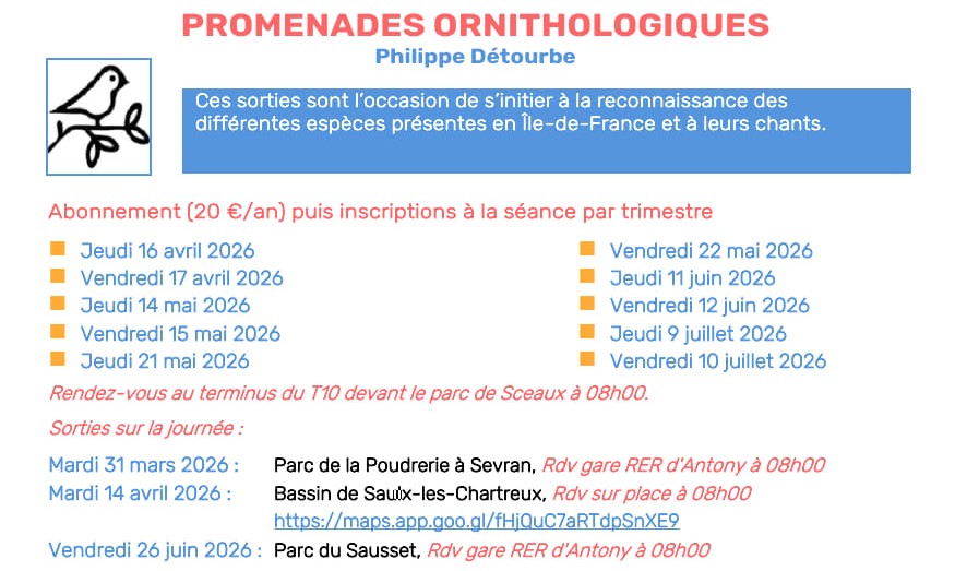 Sorties Ornithologiques